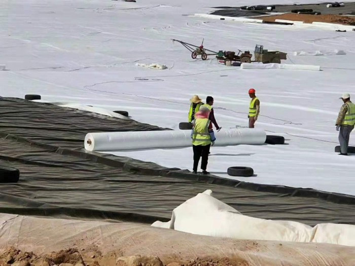 1651299932418012.jpg 1-200303142643404.jpg